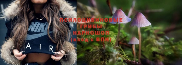индика Нефтегорск