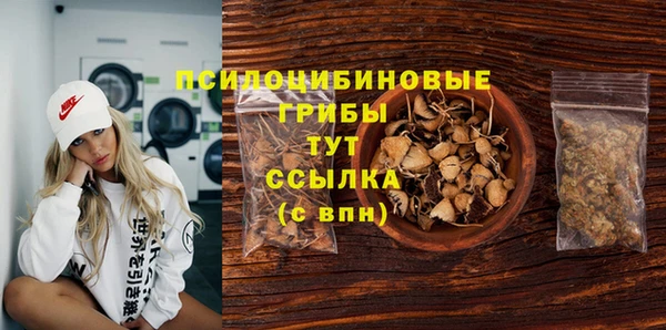 мет Инсар